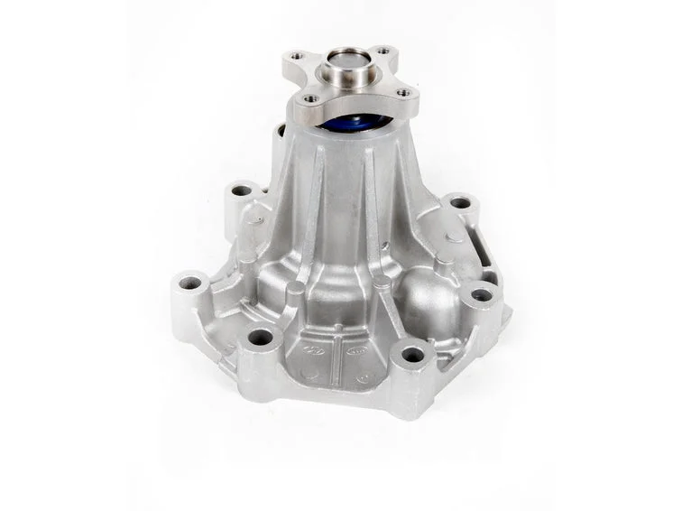 Bomba De Agua 251004A800 Original D4Cb Frontier - New Porter