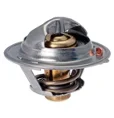 Termostato 255002A100 Original Accent Rb 11-15 Petrol.