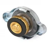 Tapa Radiador Original 0.9. 2533017000 Todos Modelos