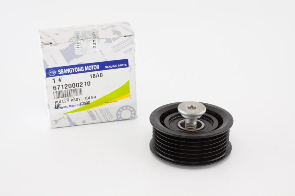 Rodamiento Guía Correa Alternador Tipo Pk 2012 a 2017 Ssangyong Actyon Original 6712000210