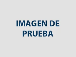 Disco Freno Kia Grand Carnival 2021 a 2024  Alternativo Hi Q Korea 51712R0150 3